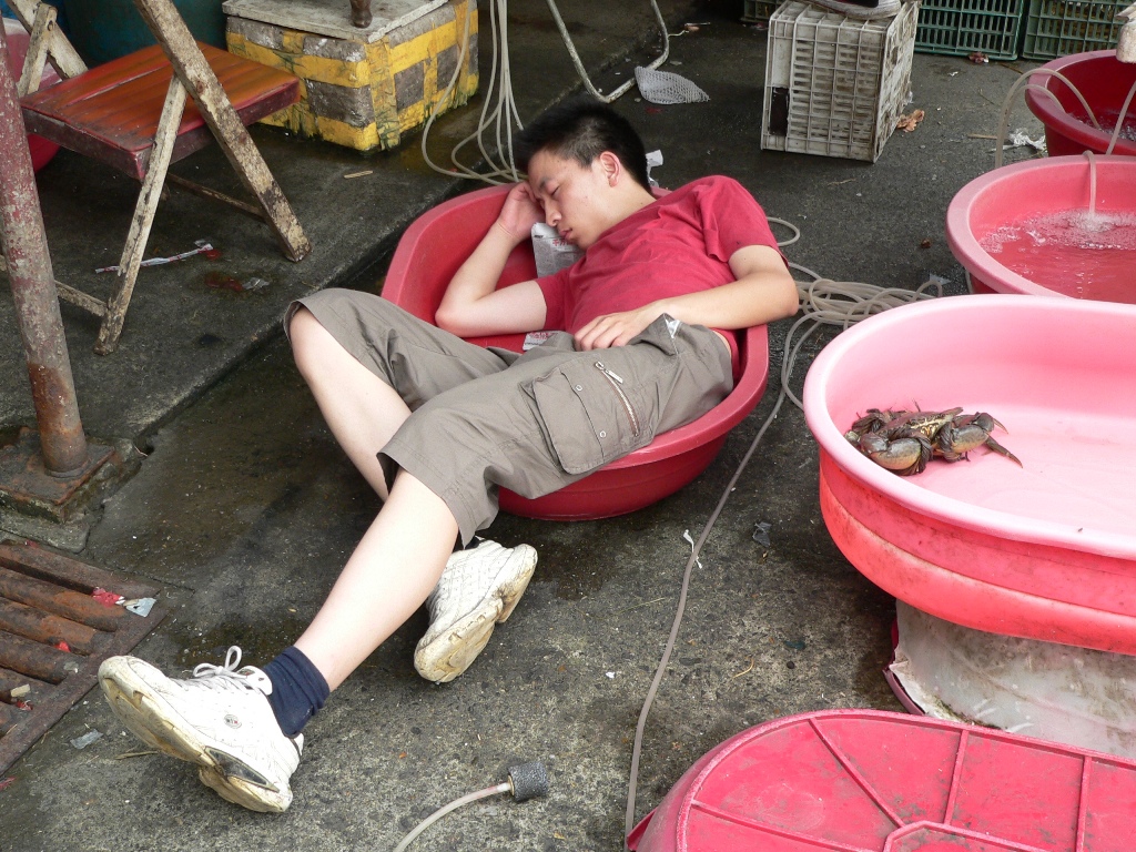 SLEEPING CHINESE